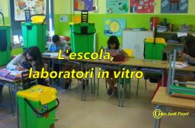VIDEOPOEMA: L'escola laboratori in vitro